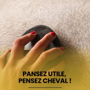 e book couverture equilibre